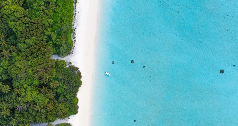 Celebrity Property Paradise